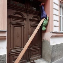 Codzienny Strzał Fotek — 2