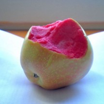 Codzienny Strzał Fotek — 36