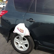 Daily Photo Shoot — 38