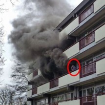 Codzienny Strzał Fotek — 39