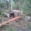 Codzienny Strzał Fotek — 2