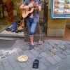 Codzienny Strzał Fotek — 4
