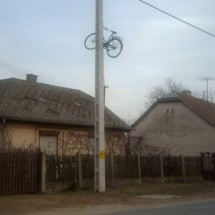 Codzienny Strzał Fotek — 44