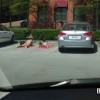 Daily Photo Shoot — 19