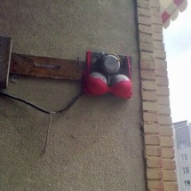 Codzienny Strzał Fotek — 1