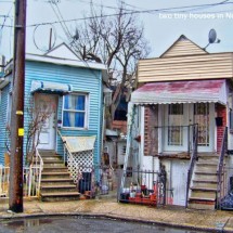 Codzienny Strzał Fotek — 45