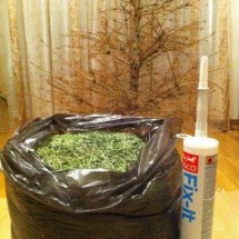 Codzienny Strzał Fotek — 33