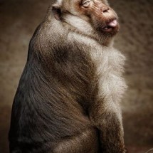 Codzienny Strzał Fotek — 16