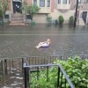 People having fun with Hurricane Irene — 11