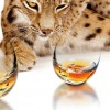 Creative glassware designs — 16