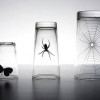 Creative glassware designs — 25