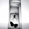 Creative glassware designs — 26