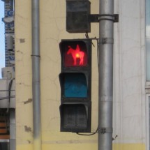 Codzienny Strzał Fotek — 51
