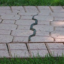 Codzienny Strzał Fotek — 48