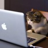 Daily Photo Shoot — 57