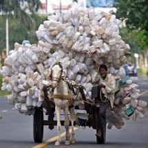 Codzienny Strzał Fotek — 3
