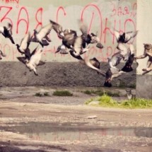 Codzienny Strzał Fotek — 25