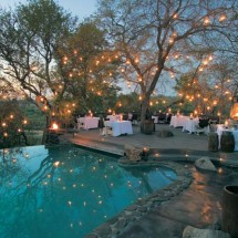 Wonderful holiday in Africa with Safari — 5