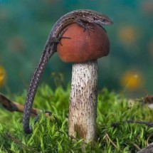 Codzienny Strzał Fotek — 27