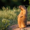 Daily Photo Shooot — 11