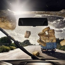 Codzienny Strzał Fotek — 38