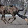 Codzienny Strzał Fotek — 4