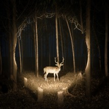 Creative advertising — 3