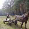 Codzienny Strzał Fotek — 41
