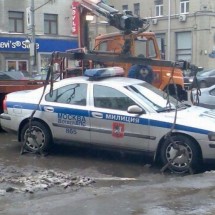 Codzienny Strzał Fotek — 25