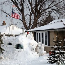 Winter locks and needle from the snow — 24
