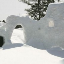 Winter locks and needle from the snow — 37