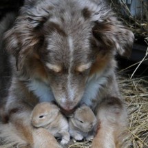 Daily Photo Shoot — 18