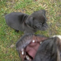 PhotoBombs — 57