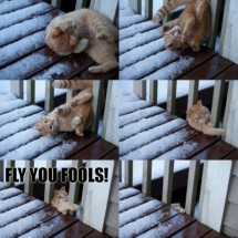 Look Out — 33