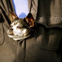 Daily Photo Shoot — 9