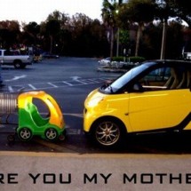 Daily Photo Shoot — 9
