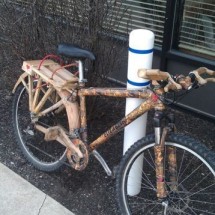 Daily Photo Shoot — 44