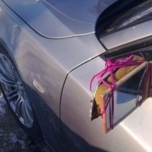 Codzienny Strzał Fotek — 11