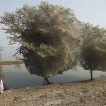 Daily Photo Shoot — 33