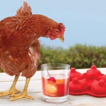 Creative ice cube trays — 15