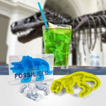 Creative ice cube trays — 2