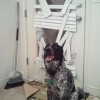 Daily Photo Shoot — 7