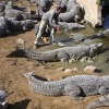 Daily Photo Shoot — 35
