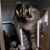 Daily Photo Shoot — 23