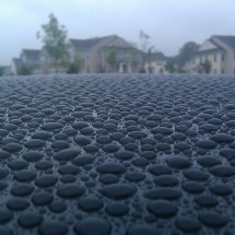 Daily Photo Shoot — 39