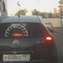 Codzienny Strzał Fotek — 40