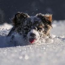 At The Right Moment — 43