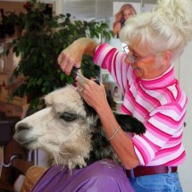 Daily Photo Shoot