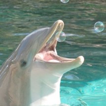 Daily Photo Shoot — 13