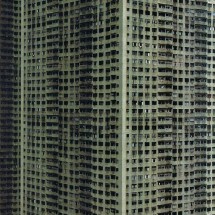 Daily Photo Shoot — 46